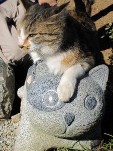 猫の置物の上で一休み、、、