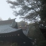 霧の立ち込める境内