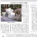 タウンニュース　１月１７日号