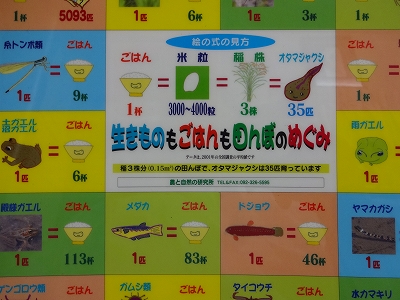 農と自然研究所