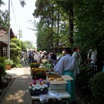 野菜・鉢花の無料配布