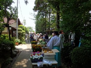 野菜・鉢花の無料配布