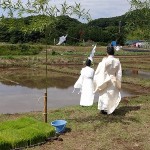 御田植祭の様子