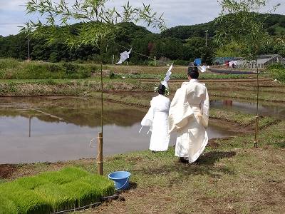 DSC01004 御田植祭の様子