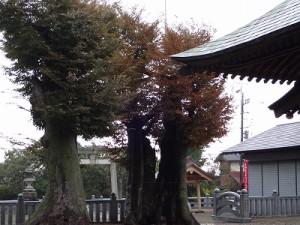 真田神社