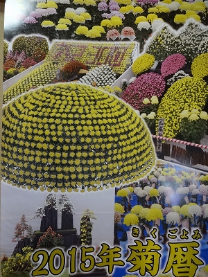 DSC01771 菊暦