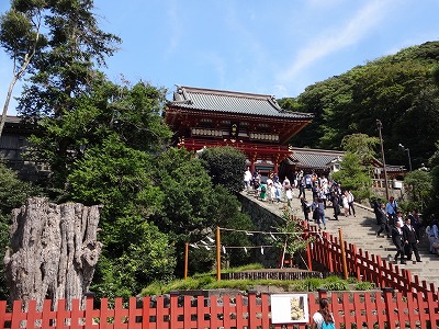 鶴岡八幡宮