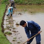 御神田のくろつけ