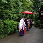 参進前の列立（れつりゅう）