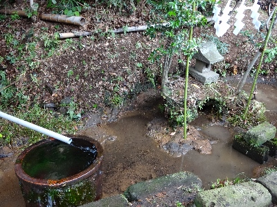 水脈豊富な邸内の池
