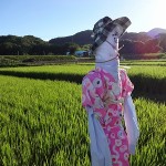 御神田　（　神社下　）