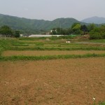 御神田　比々多神社バス停前