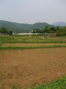 御神田　比々多神社バス停前