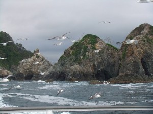 変化に富んだ美しい海岸線