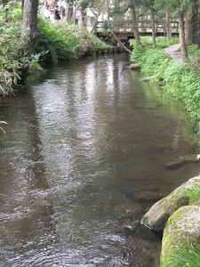 河童伝説のカッパ淵