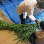 茅の輪づくり