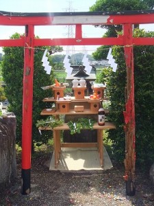 DSCF2755 朽ちた鳥居