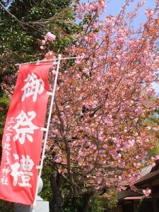 DSCF3001 (2) DSCF3001 (2)