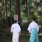 夕方の境内巡回　　１４日