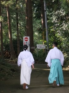 夕方の境内巡回　　１４日