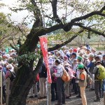 ウォーキング協会の御一行