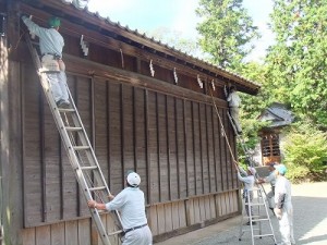 DSCF3001111 花期が遅い金木犀(きんもくせい)