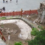 一昨年の３月１０日倒壊した大銀杏