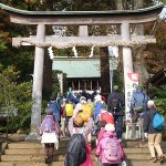 ウオーキングの人で賑わう社頭