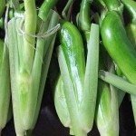 安産祈願　おめでとうございます