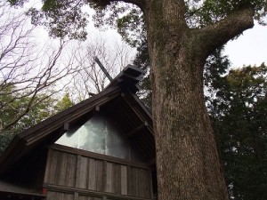 南金目神社本殿