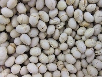 穀霊のこもる福豆