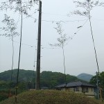 DSCF3021 (2) DSCF3021 (2)