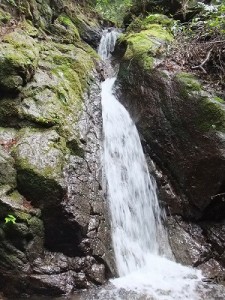沢山 （ 三段の滝 ）