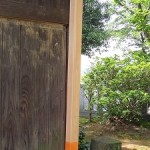 修復の終わった神楽殿（１８日）