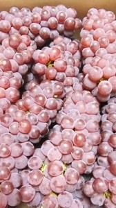 葡萄（デラウエア）