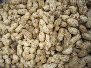 季節の品　　落花生