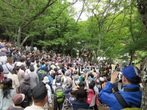 粽（ちまき）行事