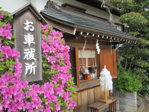 IMG_0796 つつじが見事な色を放っています