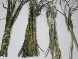 各社の粽　左から一之宮、二之宮、三之宮、四之宮