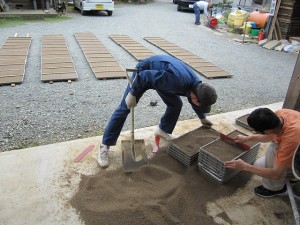 田植えは６月１３日(日)です