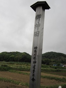 神社近くにある御神田