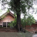 師岡熊野神社