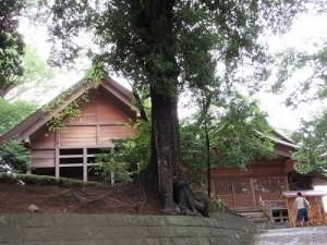 師岡熊野神社