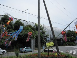 「三ノ宮花の会」による七夕飾り