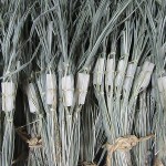 國府祭に頒布する粽