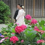 御結婚おめでとうございます