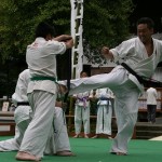 空手演武 （ 同志會 ）