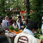 野菜・鉢花無料配布