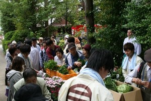 野菜・鉢花無料配布
