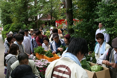 IMG_4132 野菜・鉢花無料配布